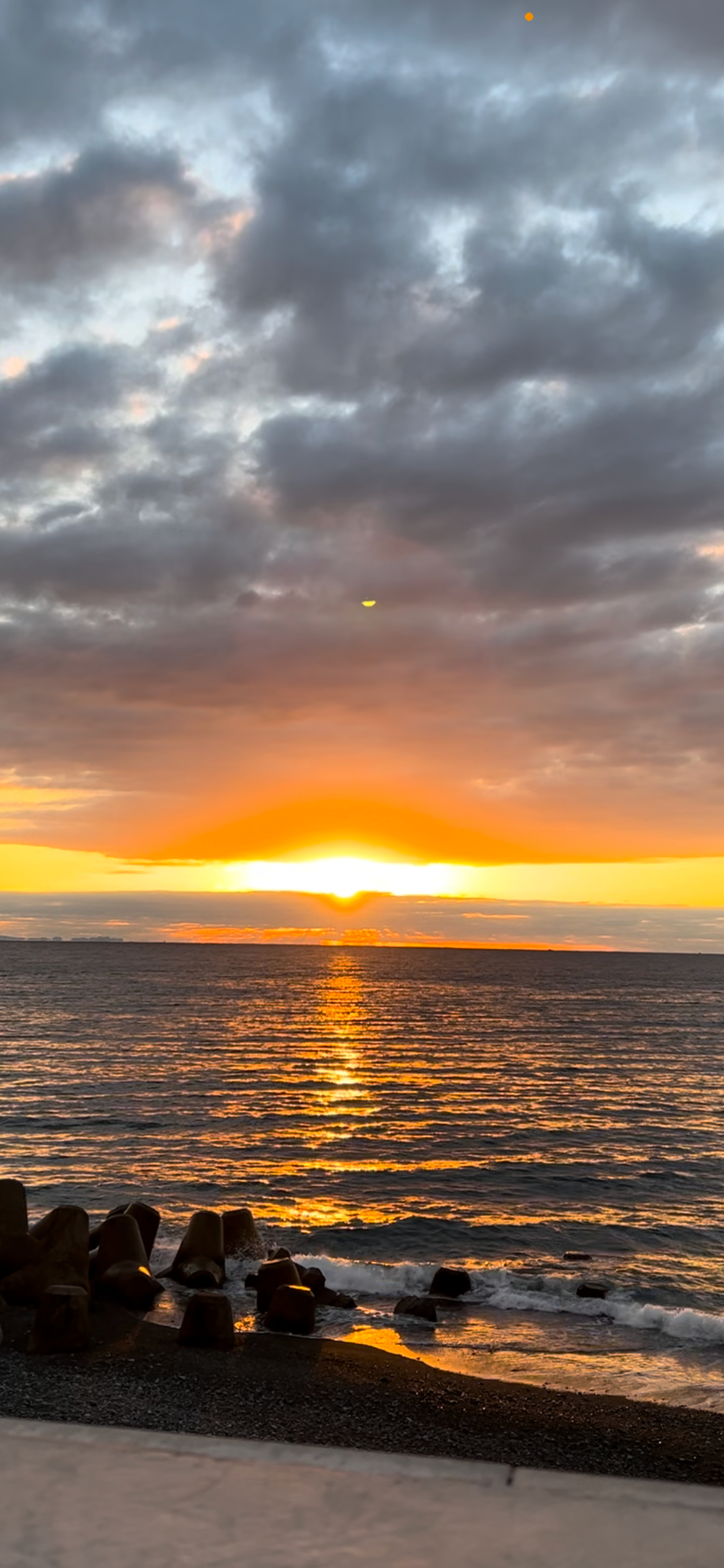 占い師Lilly Etoileのお気に入り写真1